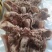 [推]精品去骨羊头肉，带耳朵袋舌头，非常热销价格美丽