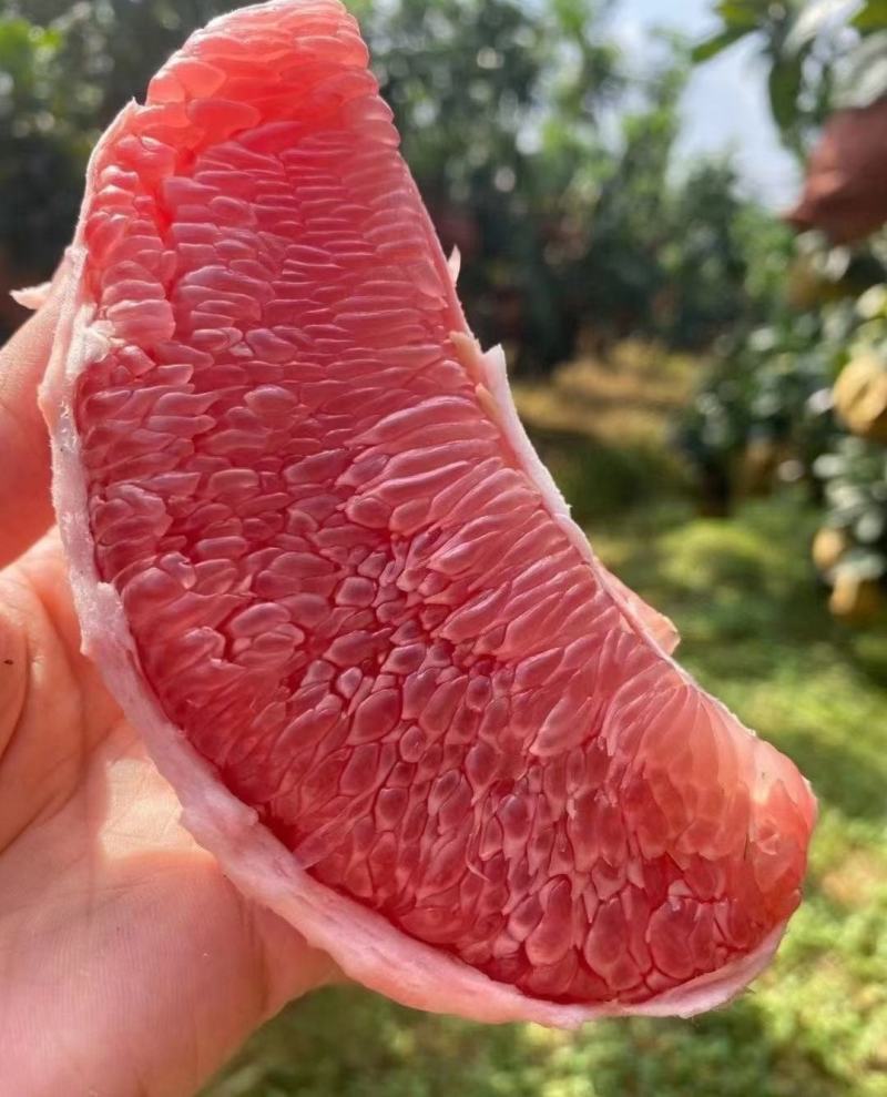 【荐】红心柚子，精品薄皮红柚，现货供应，一手货源量大价优