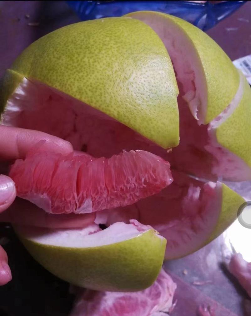 【荐】红心柚子，精品薄皮红柚，现货供应，一手货源量大价优