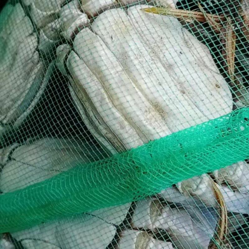 【推荐】洪湖大闸蟹鲜活大螃蟹特大母蟹超大全母现货公蟹