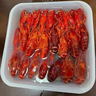 清水虾