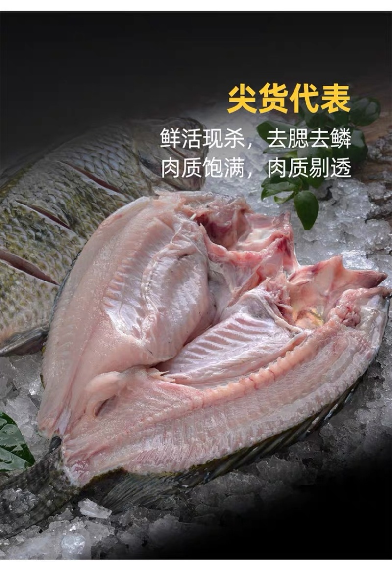 开背罗非鱼全规格广西区域餐饮直供