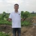 精品广西芥菜大量上市，无限量模式供应，欢迎咨询