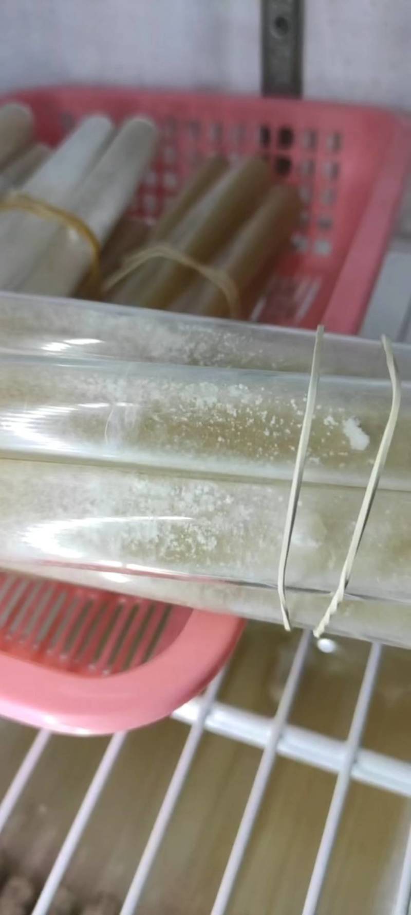 羊肚菌菌种干品鲜品