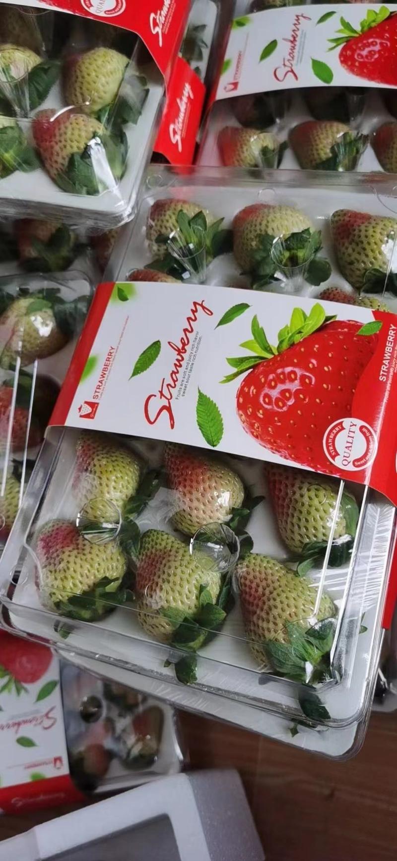 【价格每日随行就市】蒙特瑞草莓一手货源产地直发量大从优