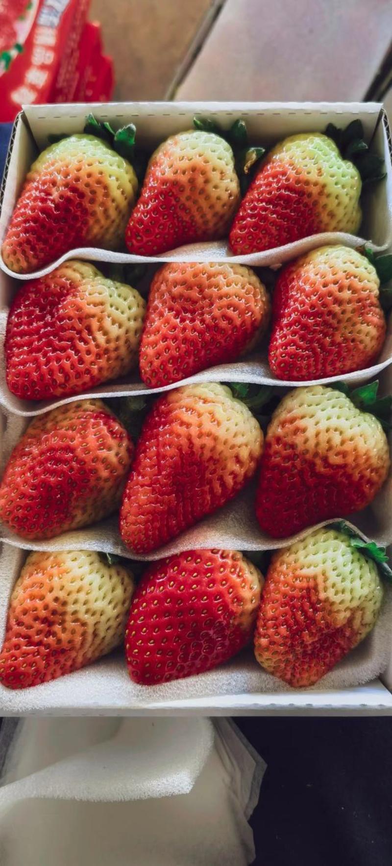 【精品】价格每日随行就市，一手货源夏季蒙特瑞草莓品质保证