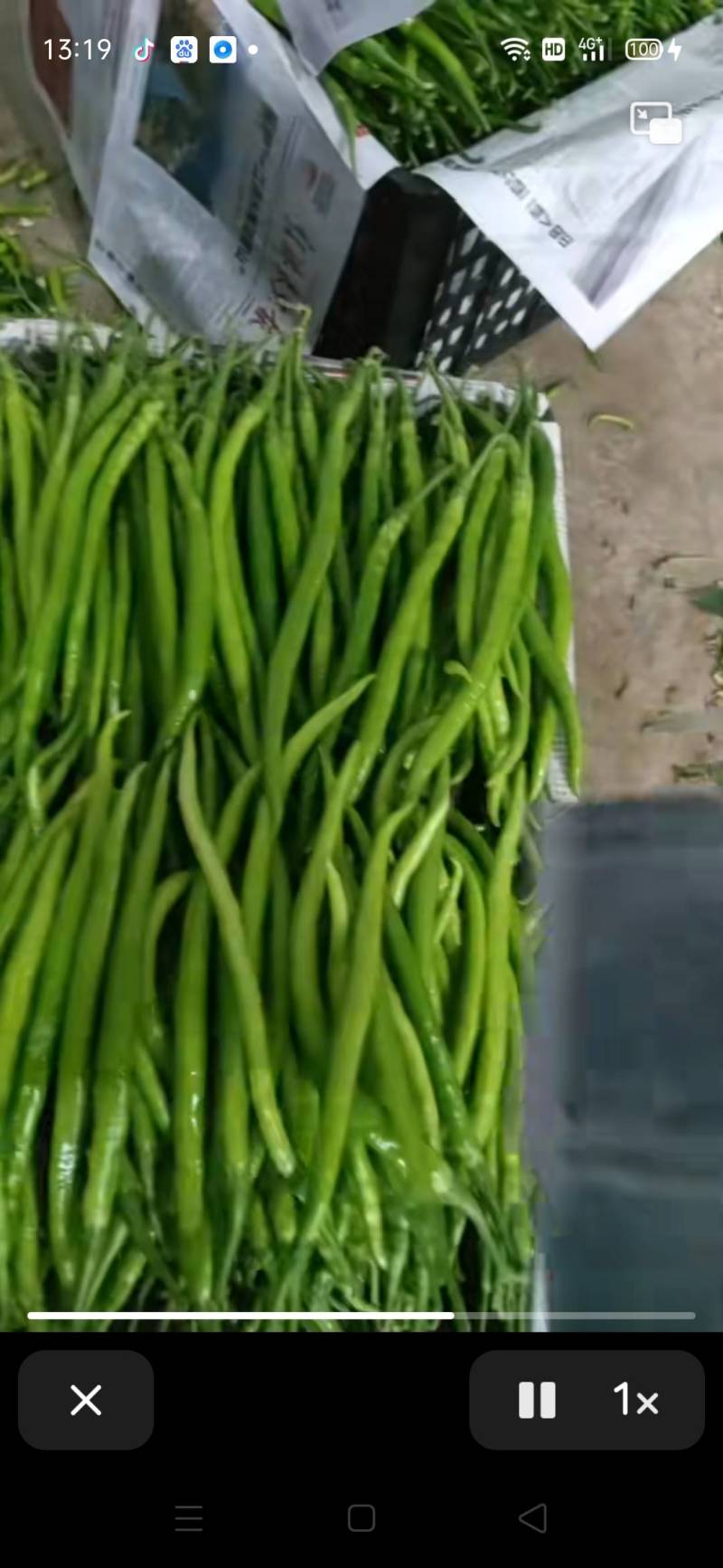 鲜辣椒
