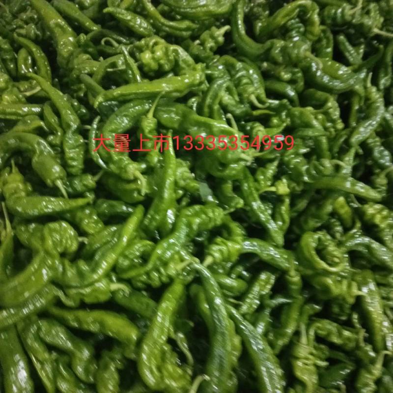 鲜辣椒