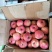 苹果青龙高山优质寒富士苹果视频看货欢迎采购
