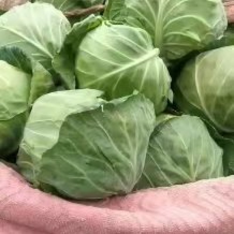 大量供应