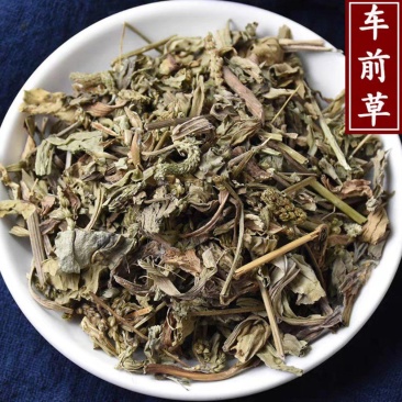 车前草中药批发车前草车前草干货干净去沫零售批发
