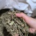 车前草中药批发车前草车前草干货干净去沫零售批发