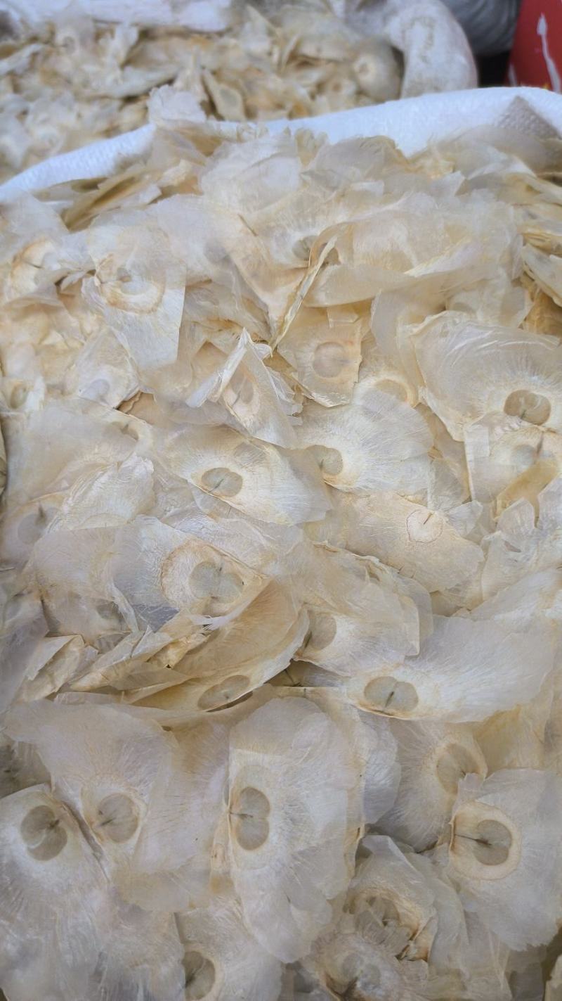 木蝴蝶药材木蝴蝶中药千层纸木蝴蝶茶玉蝴蝶量大从优