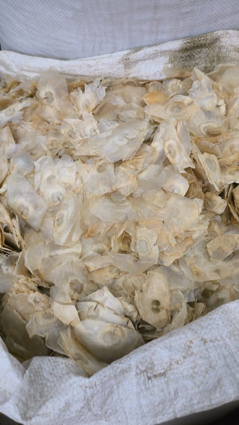 木蝴蝶药材木蝴蝶中药千层纸木蝴蝶茶玉蝴蝶量大从优