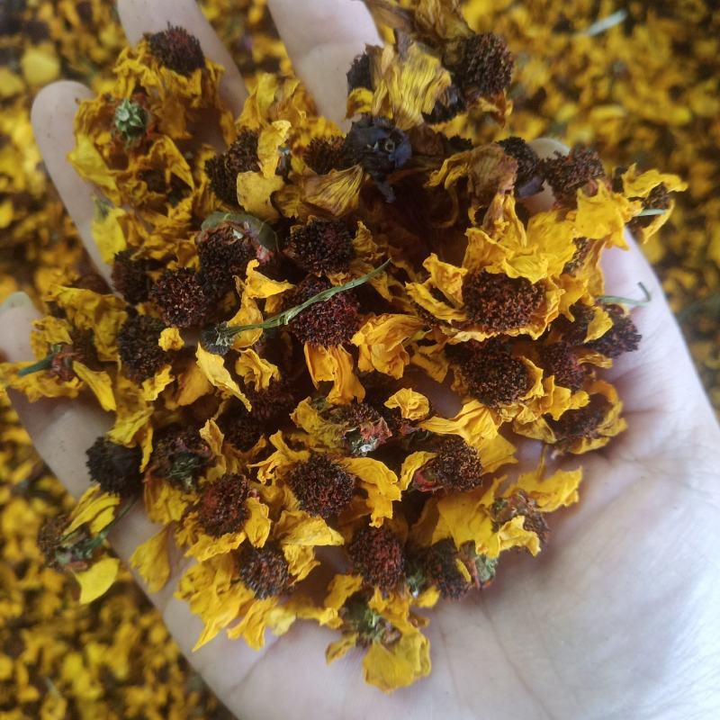 批发.昆仑雪菊500克花草茶雪菊花茶泡水雪菊新疆雪菊