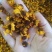 批发.昆仑雪菊500克花草茶雪菊花茶泡水雪菊新疆雪菊