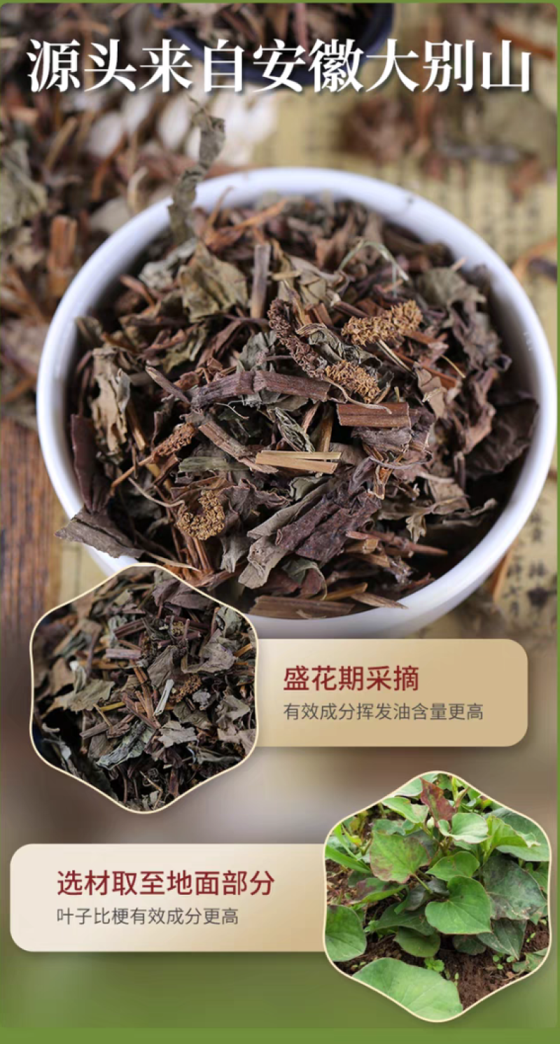 鱼腥草药用鱼腥草干货鱼腥草中药批发零售无硫鱼腥草