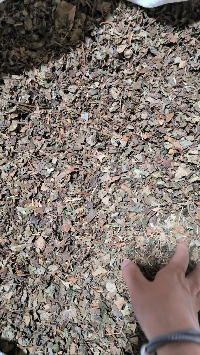 鱼腥草药用鱼腥草干货鱼腥草中药批发零售无硫鱼腥草