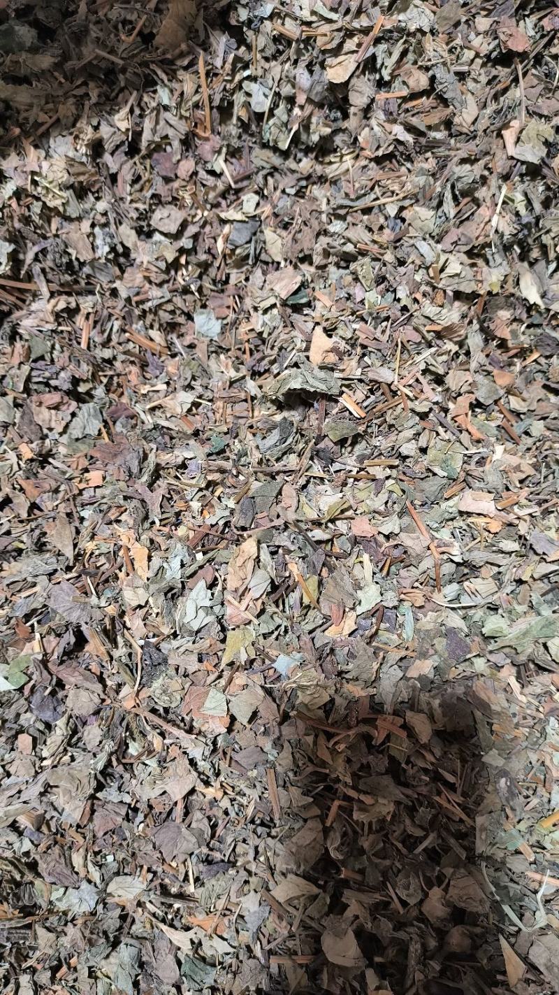 鱼腥草药用鱼腥草干货鱼腥草中药批发零售无硫鱼腥草