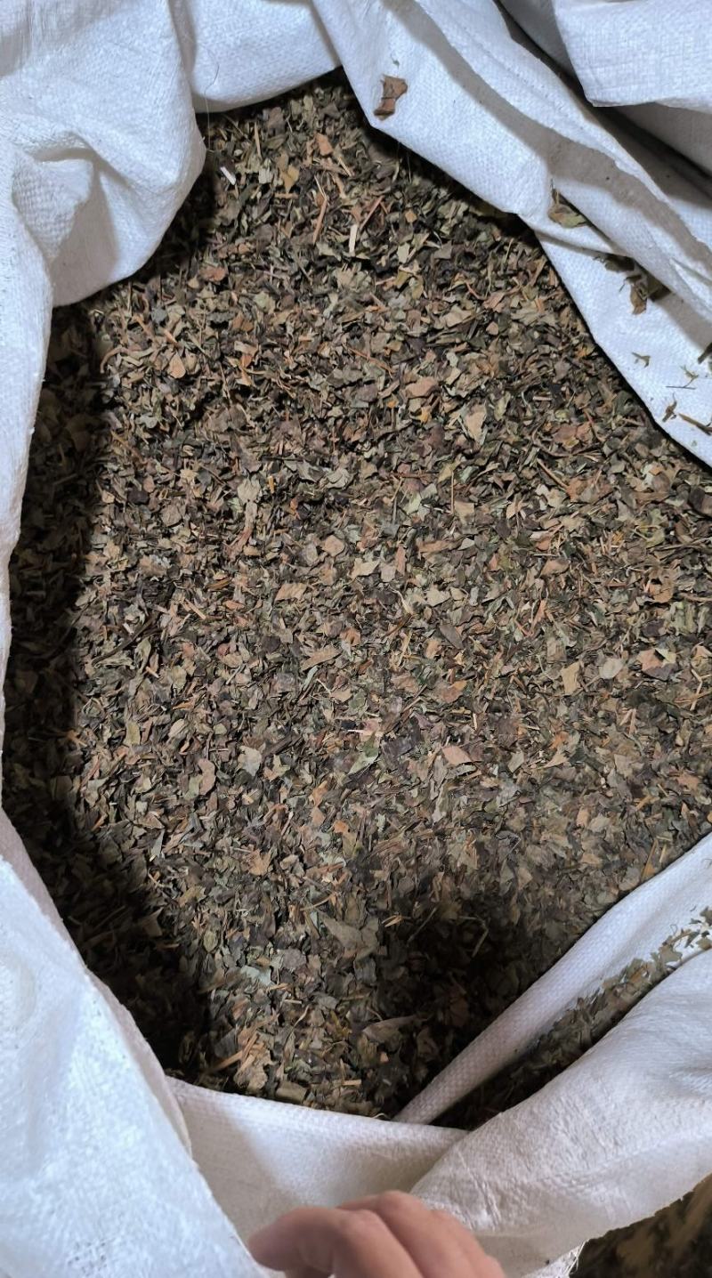 鱼腥草药用鱼腥草干货鱼腥草中药批发零售无硫鱼腥草