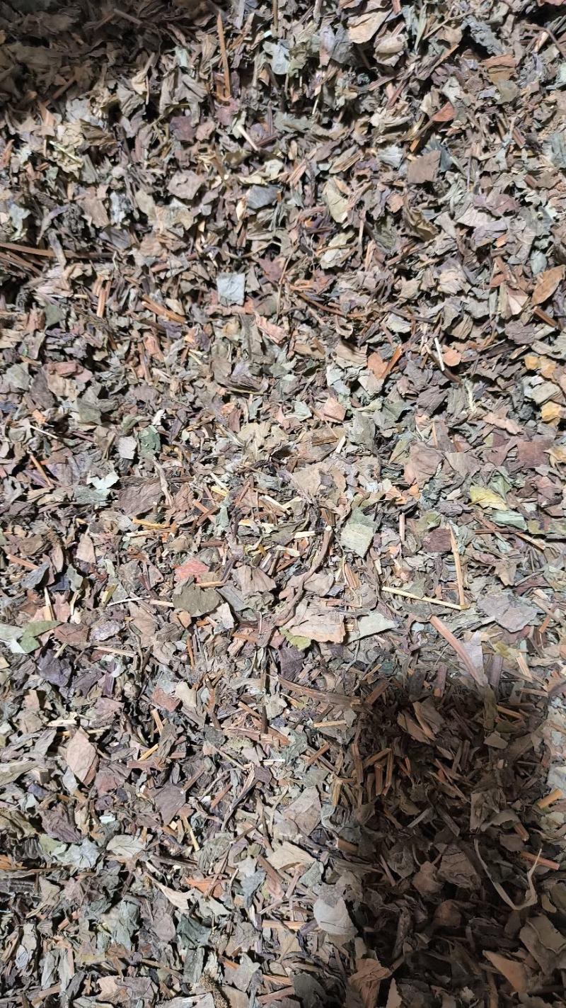 鱼腥草药用鱼腥草干货鱼腥草中药批发零售无硫鱼腥草