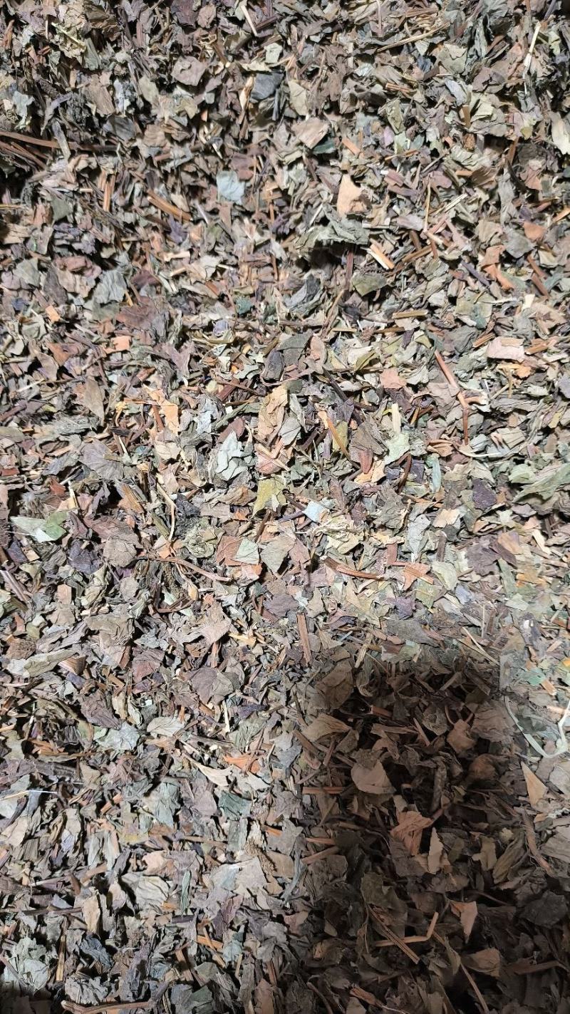 鱼腥草药用鱼腥草干货鱼腥草中药批发零售无硫鱼腥草