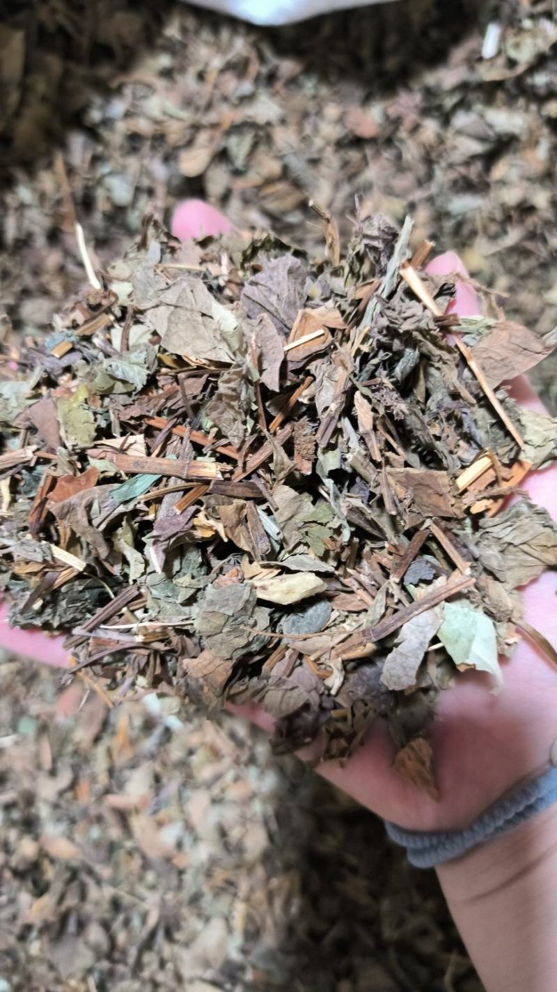 鱼腥草药用鱼腥草干货鱼腥草中药批发零售无硫鱼腥草