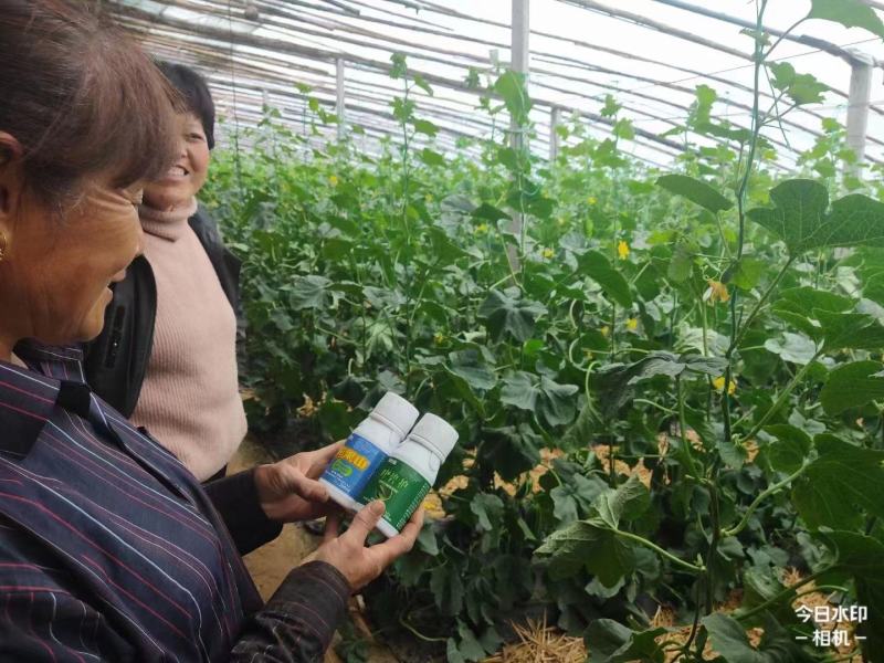 叶碧护叶面肥，营养叶片，解药害，防冻害，进口氨基酸水溶肥