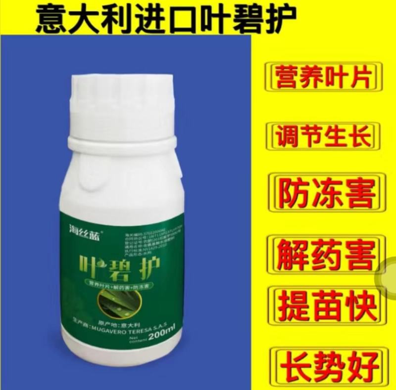 叶碧护叶面肥，营养叶片，解药害，防冻害，进口氨基酸水溶肥
