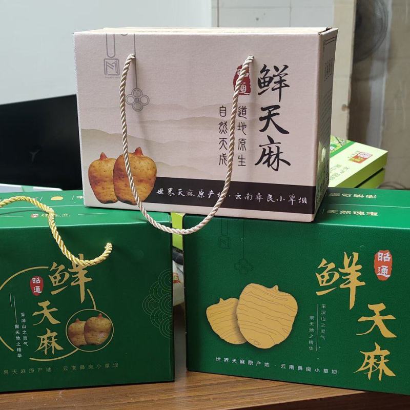 云南昭通彝良小草坝批发鲜天麻盒子有装3斤5斤10斤