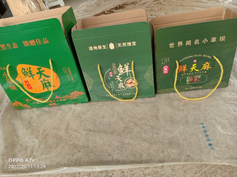 云南昭通彝良小草坝批发鲜天麻盒子有装3斤5斤10斤