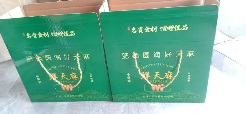 云南昭通彝良小草坝批发鲜天麻盒子有装3斤5斤10斤