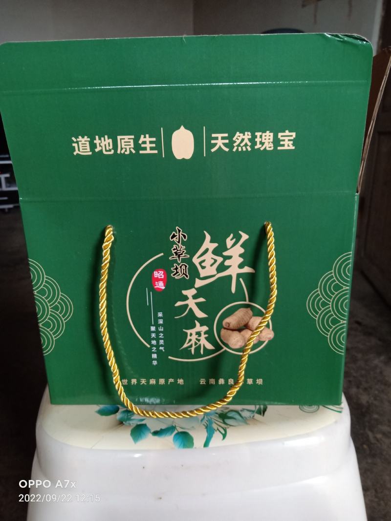 云南昭通彝良小草坝批发鲜天麻盒子有装3斤5斤10斤