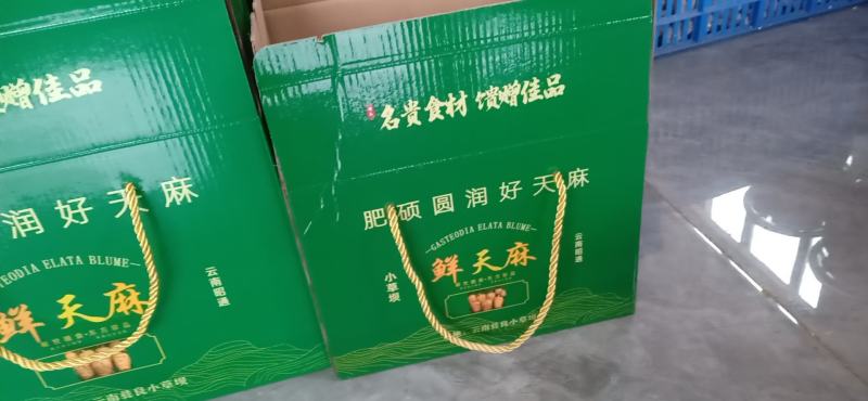 云南昭通彝良小草坝批发鲜天麻盒子有装3斤5斤10斤