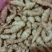 精品螺丝菜