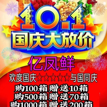 亿凤鲜土鸡精国庆大赠送餐饮食堂酒店电商地推拼多