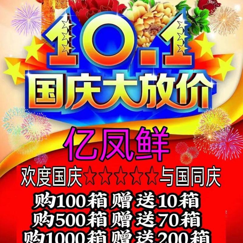 亿凤鲜土鸡精国庆大赠送餐饮食堂酒店电商地推拼多