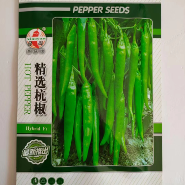 杭椒种子精选杭椒品种种子杂交一代品种
