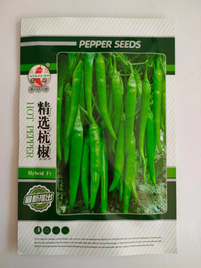 杭椒种子精选杭椒品种种子杂交一代品种