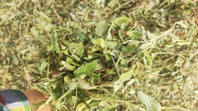 花生秧，养殖用，压块压块的，无土无膜，保质保量