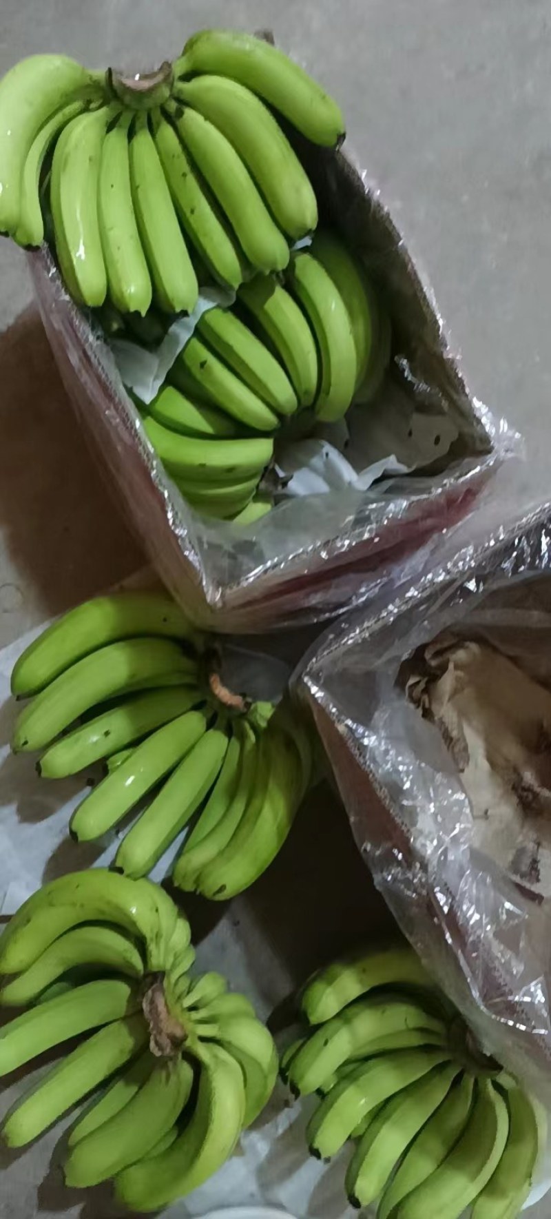 精选精品香蕉。无硬心，无黑心，支持全国发货。