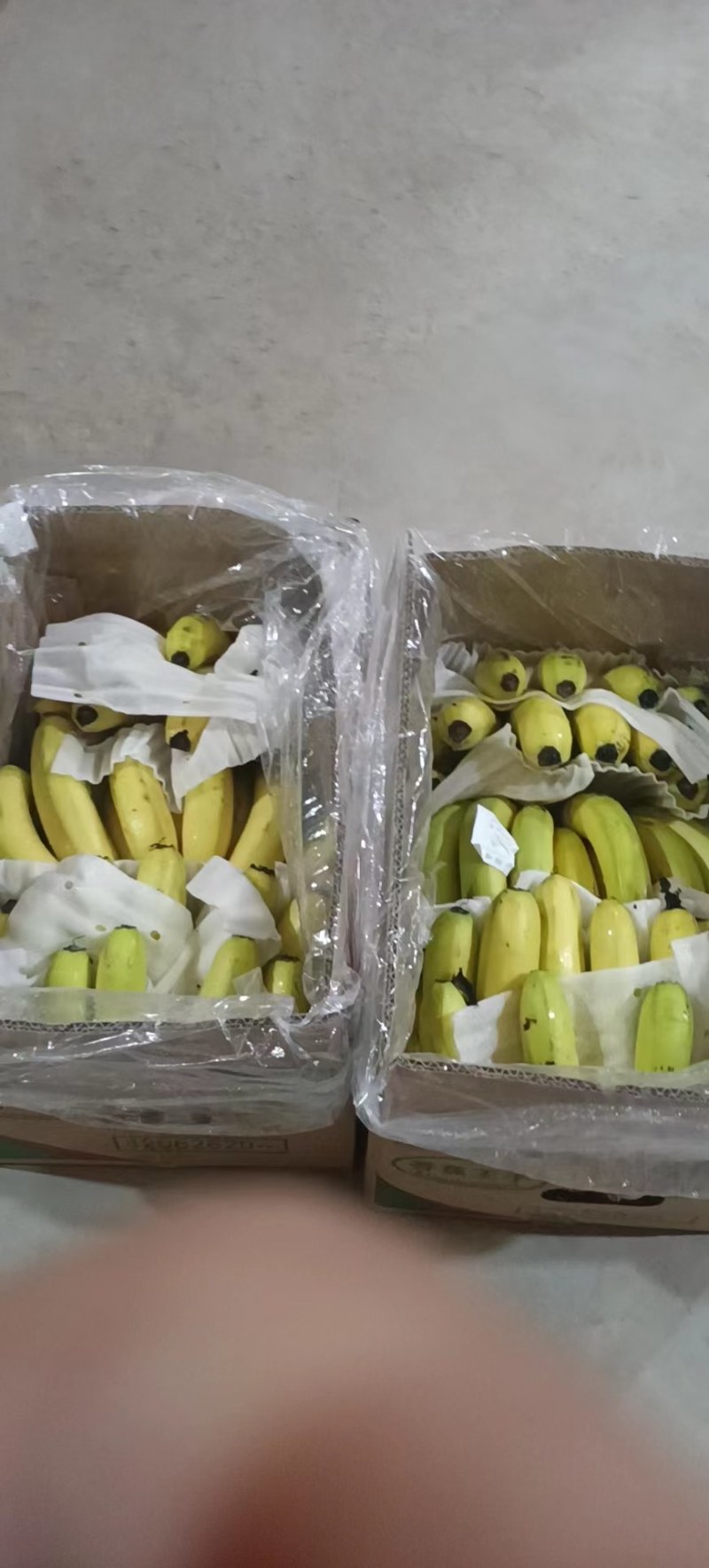 精选精品香蕉。无硬心，无黑心，支持全国发货。