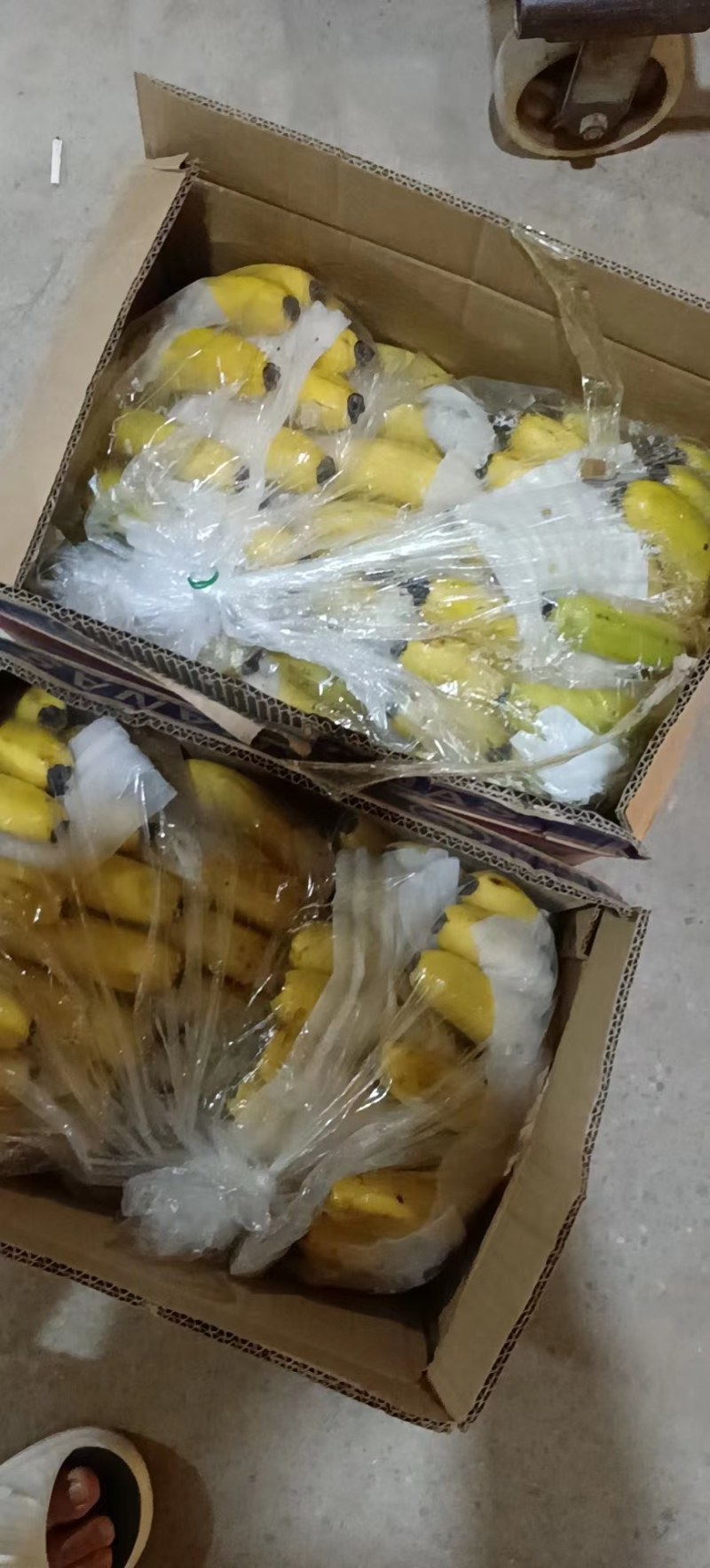 精选精品香蕉。无硬心，无黑心，支持全国发货。