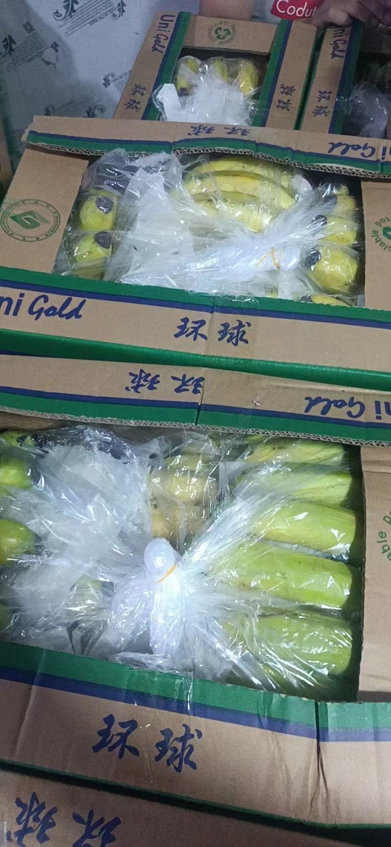 精选精品香蕉。无硬心，无黑心，支持全国发货。