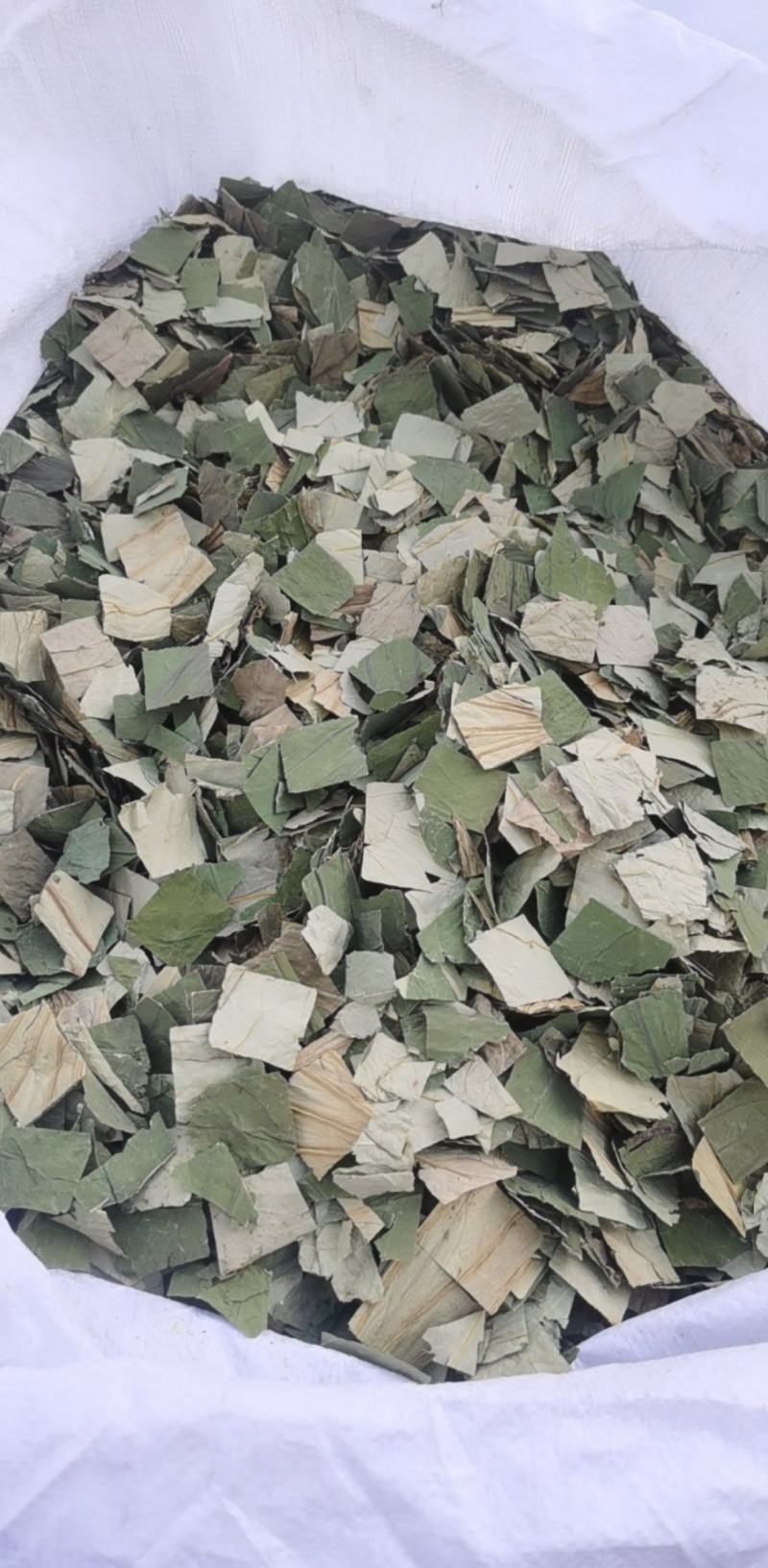 荷叶块一手货源大货批发产地山东振兴药材购销站量大从优