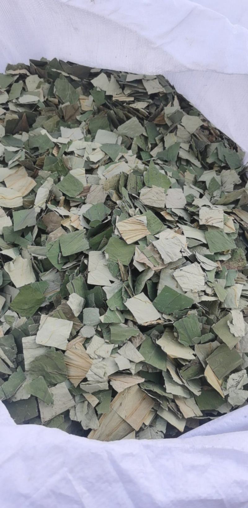 荷叶块一手货源大货批发产地山东振兴药材购销站量大从优