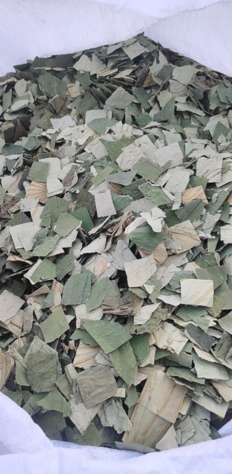荷叶块一手货源大货批发产地山东振兴药材购销站量大从优