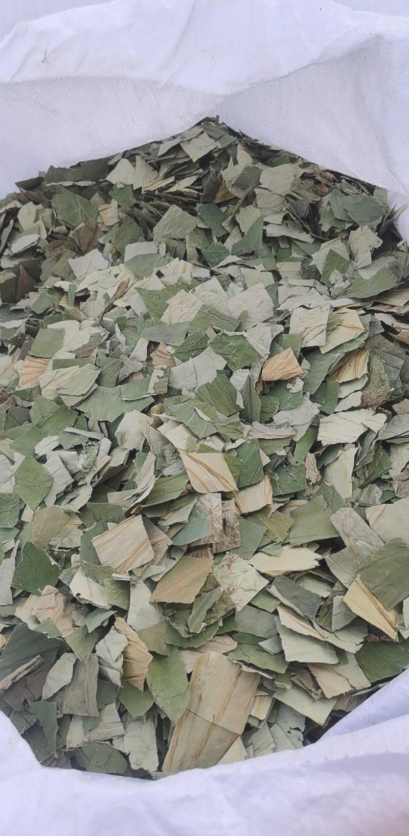荷叶块一手货源大货批发产地山东振兴药材购销站量大从优
