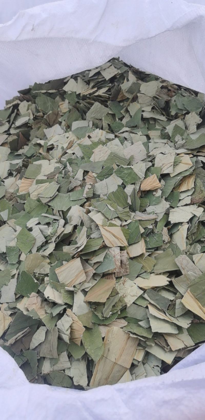 荷叶块一手货源大货批发产地山东振兴药材购销站量大从优