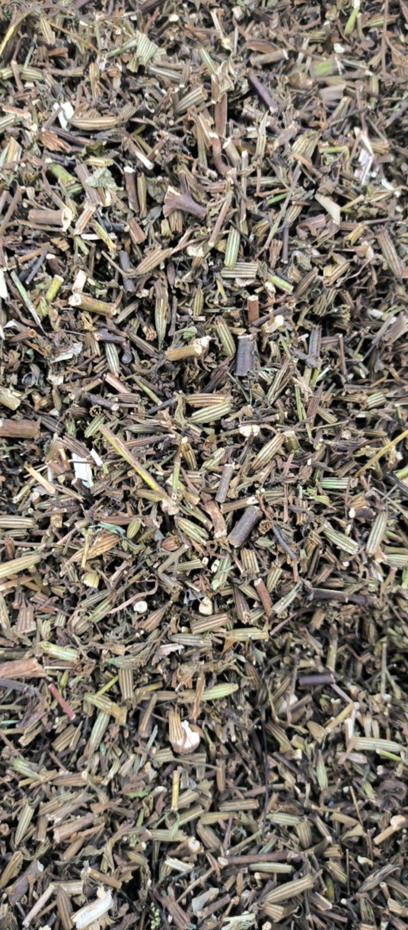 刘寄奴中药材批发刘寄奴质量保证量大从优